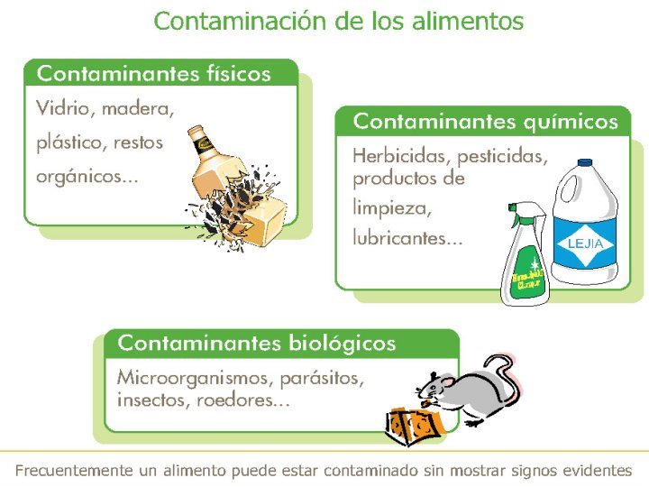 MANIPULADOR ALIMENTOS